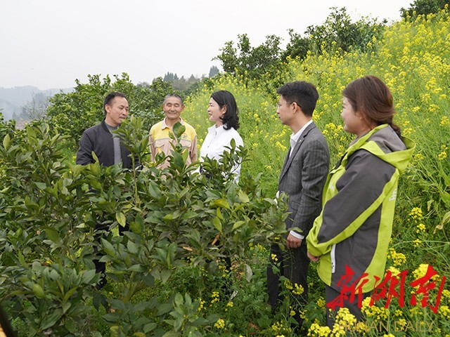 農業技術服務站入村大有可(kě)為(wèi)——全國人大代表李小紅(hóng)深入山間地(dì)頭宣講全國兩會精神